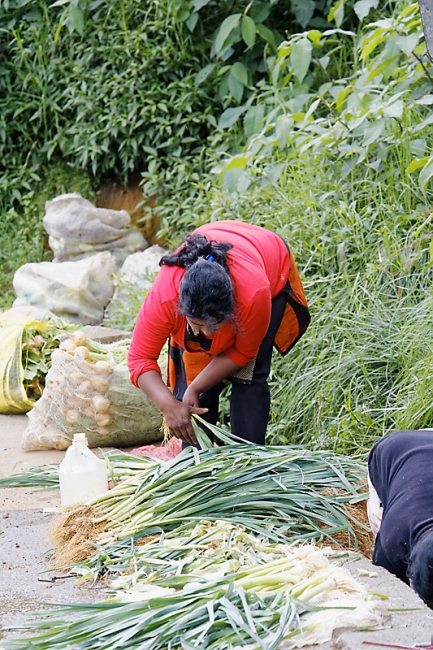 Nuwara Eliya-005
